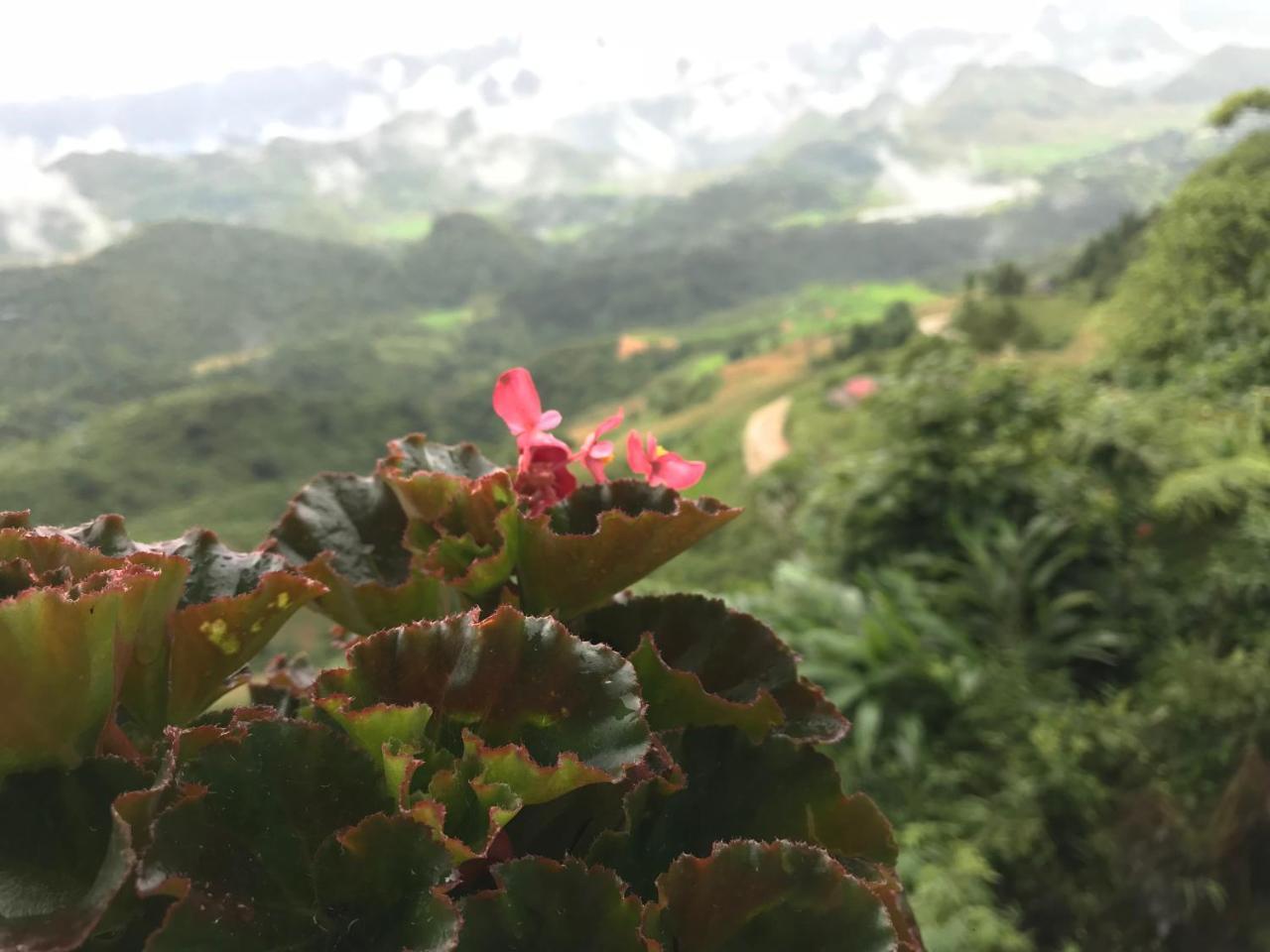 Central Backpackers Hostel Ha Giang Luaran gambar